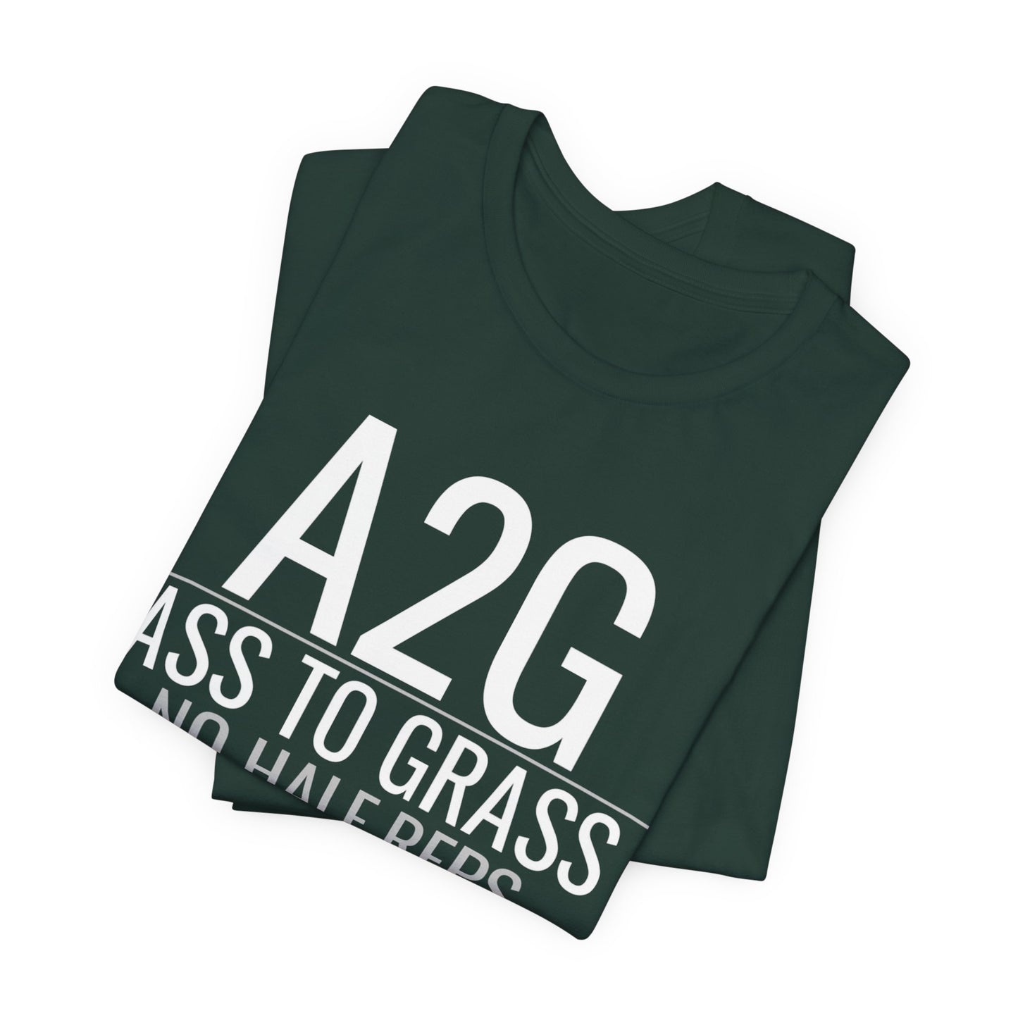 DoD Fitness - A2G - No Half Reps Men's Tee