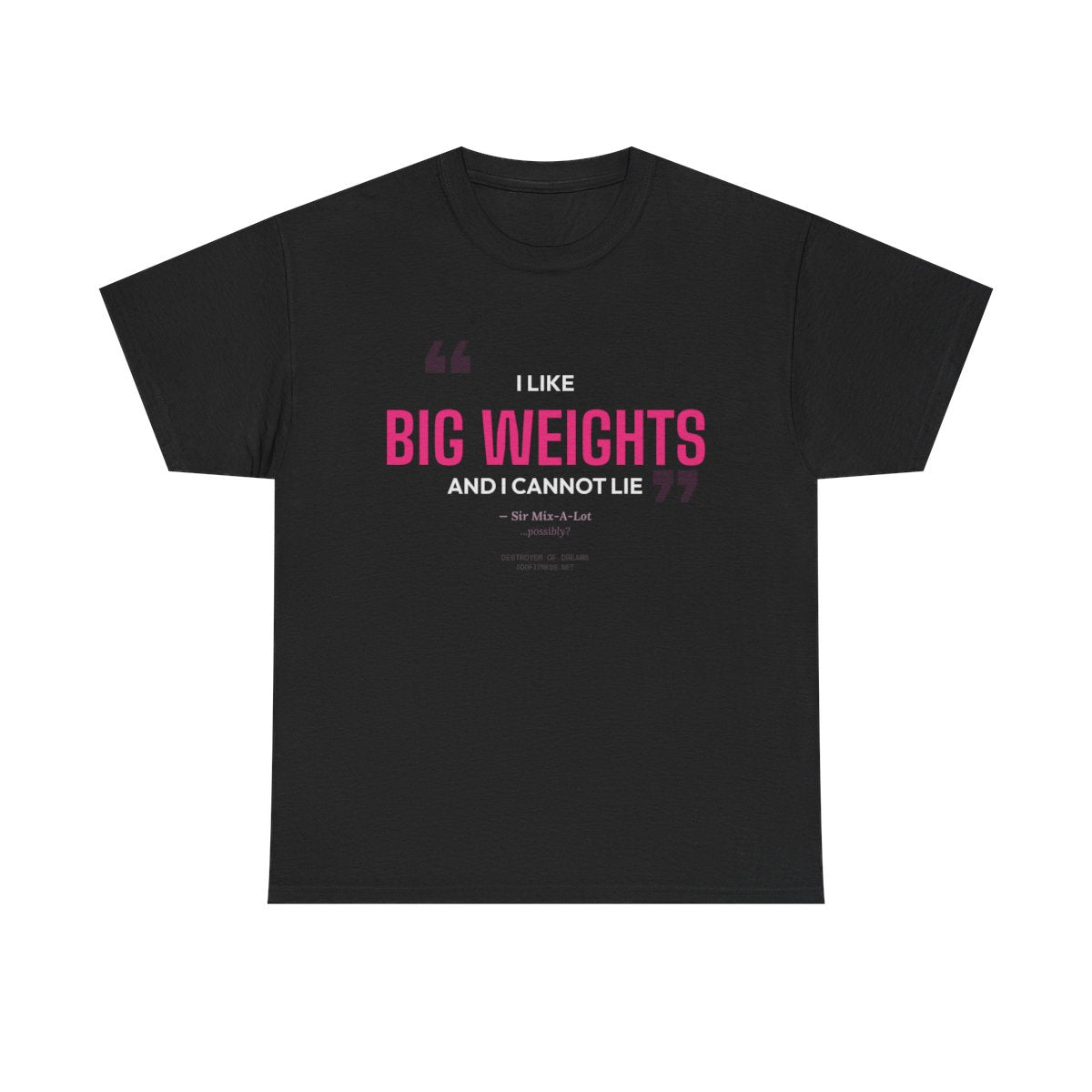 DoD Fitness - Big Weights Women's Tee