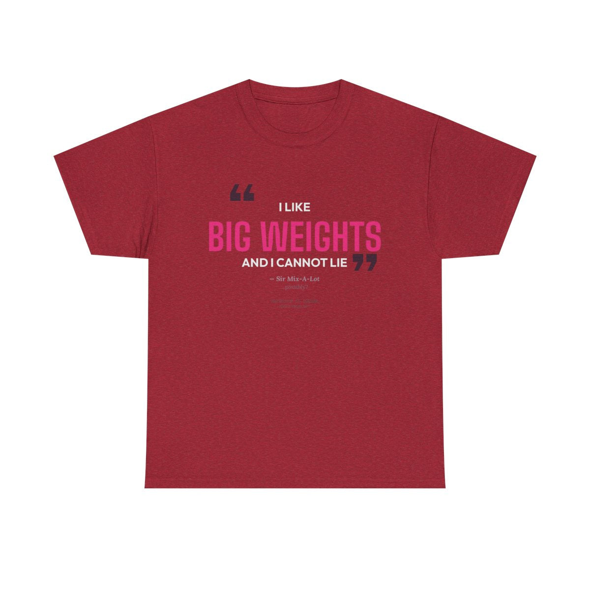 DoD Fitness - Big Weights Women's Tee
