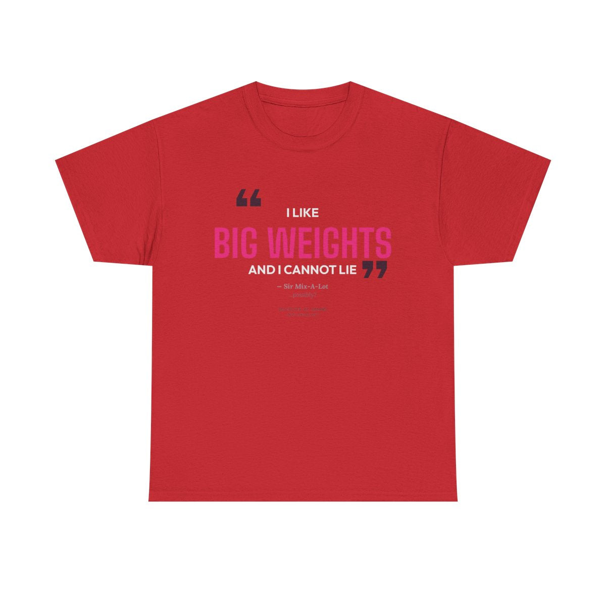 DoD Fitness - Big Weights Women's Tee