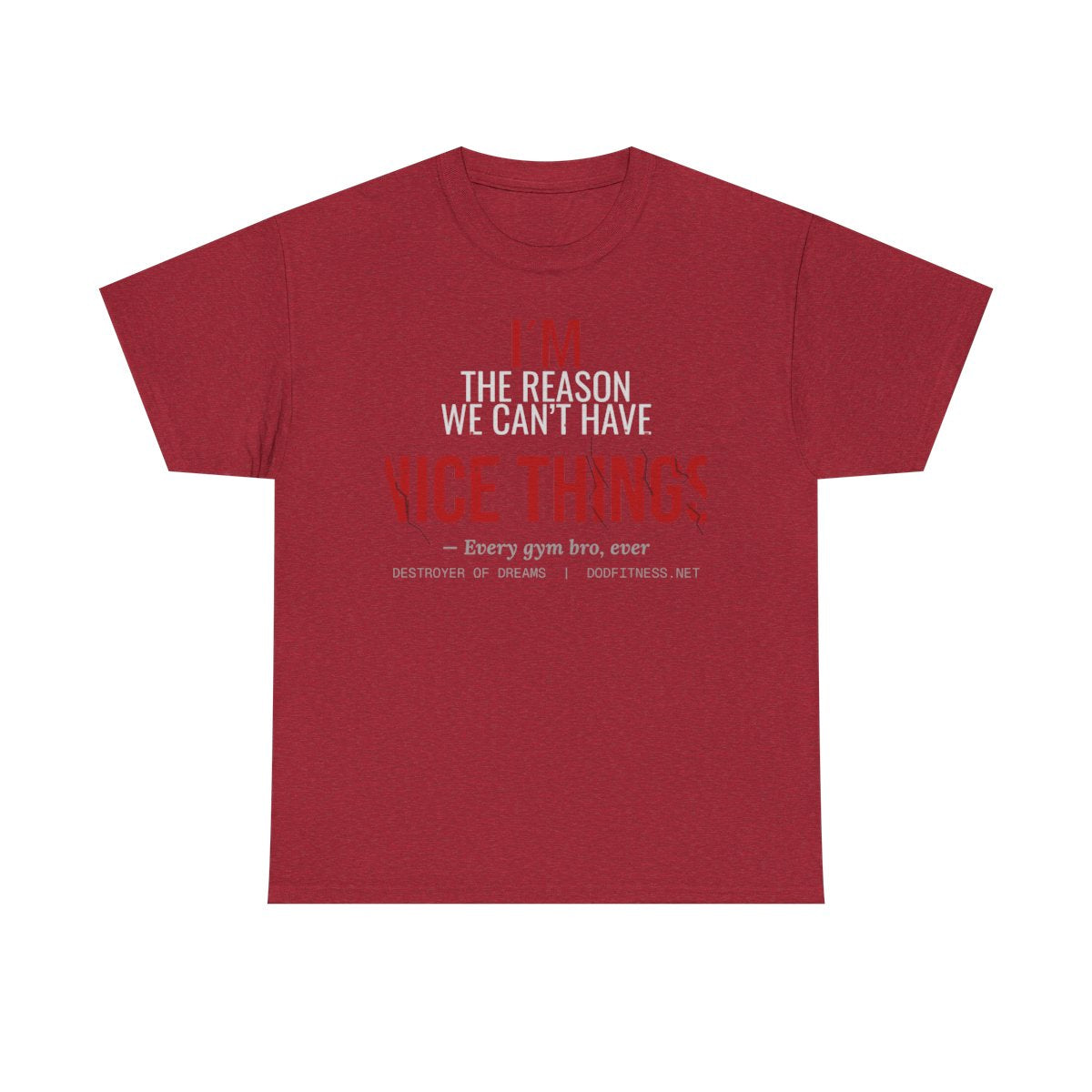 DoD Fitness - Nice Things Women's Tee