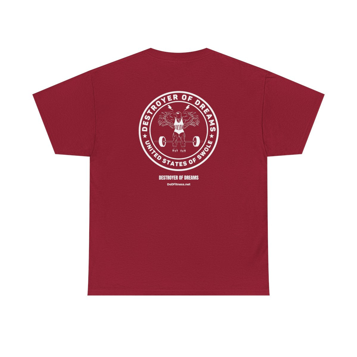 DoD Fitness - Nice Things Women's Tee
