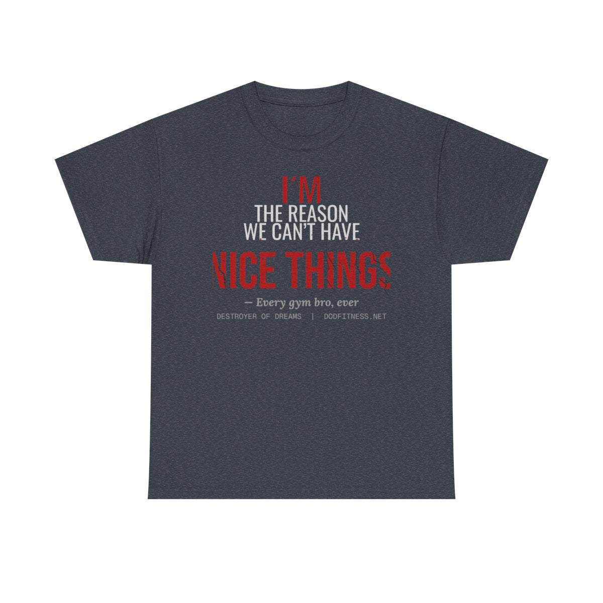 DoD Fitness - Nice Things Women's Tee
