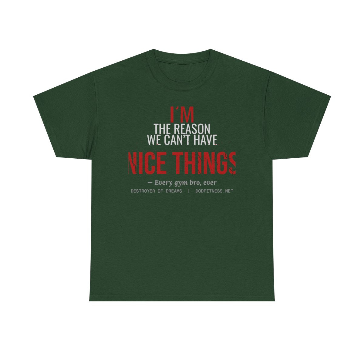 DoD Fitness - Nice Things Women's Tee
