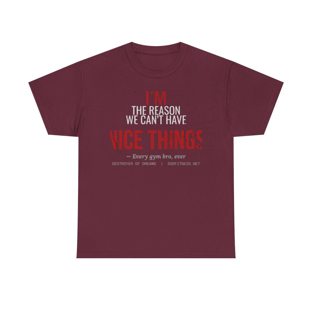 DoD Fitness - Nice Things Women's Tee