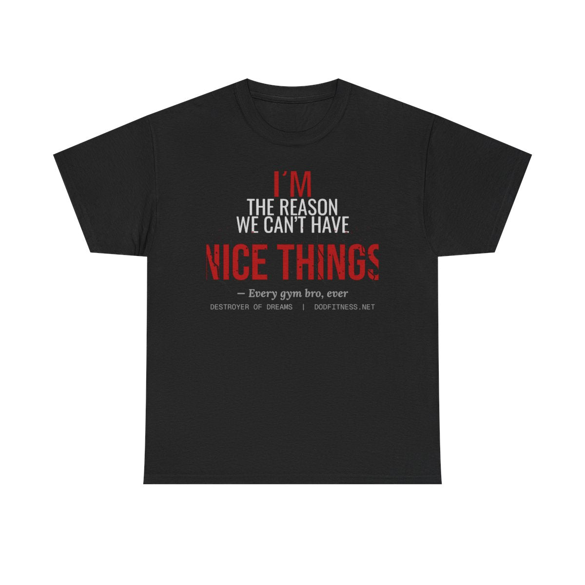 DoD Fitness - Nice Things Women's Tee