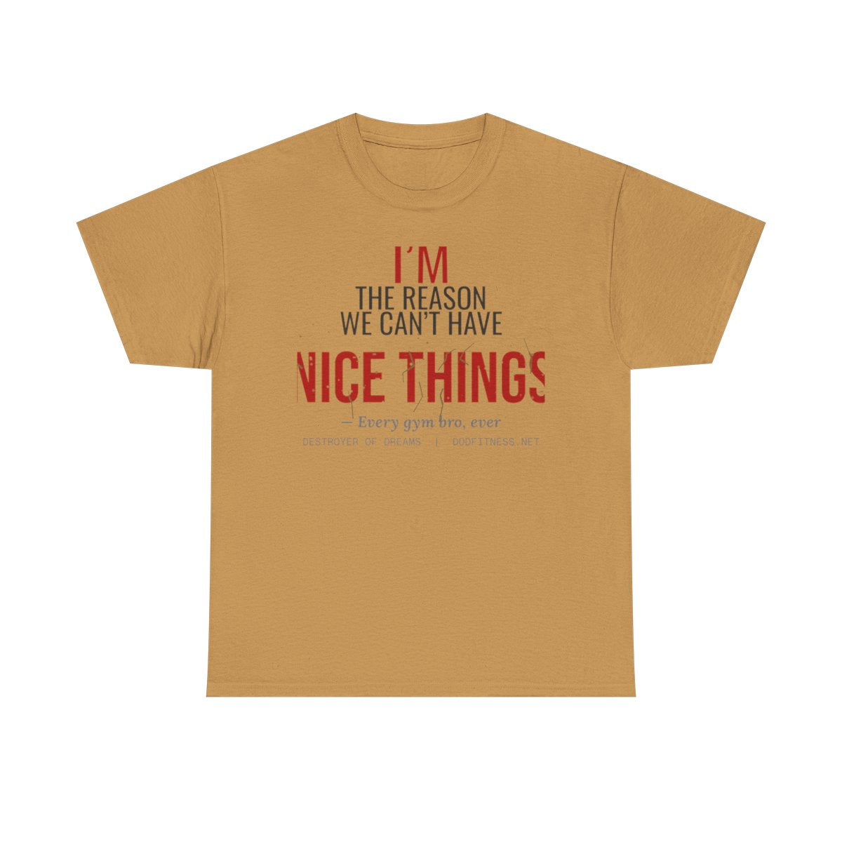 DoD Fitness - Nice Things Women's Tee