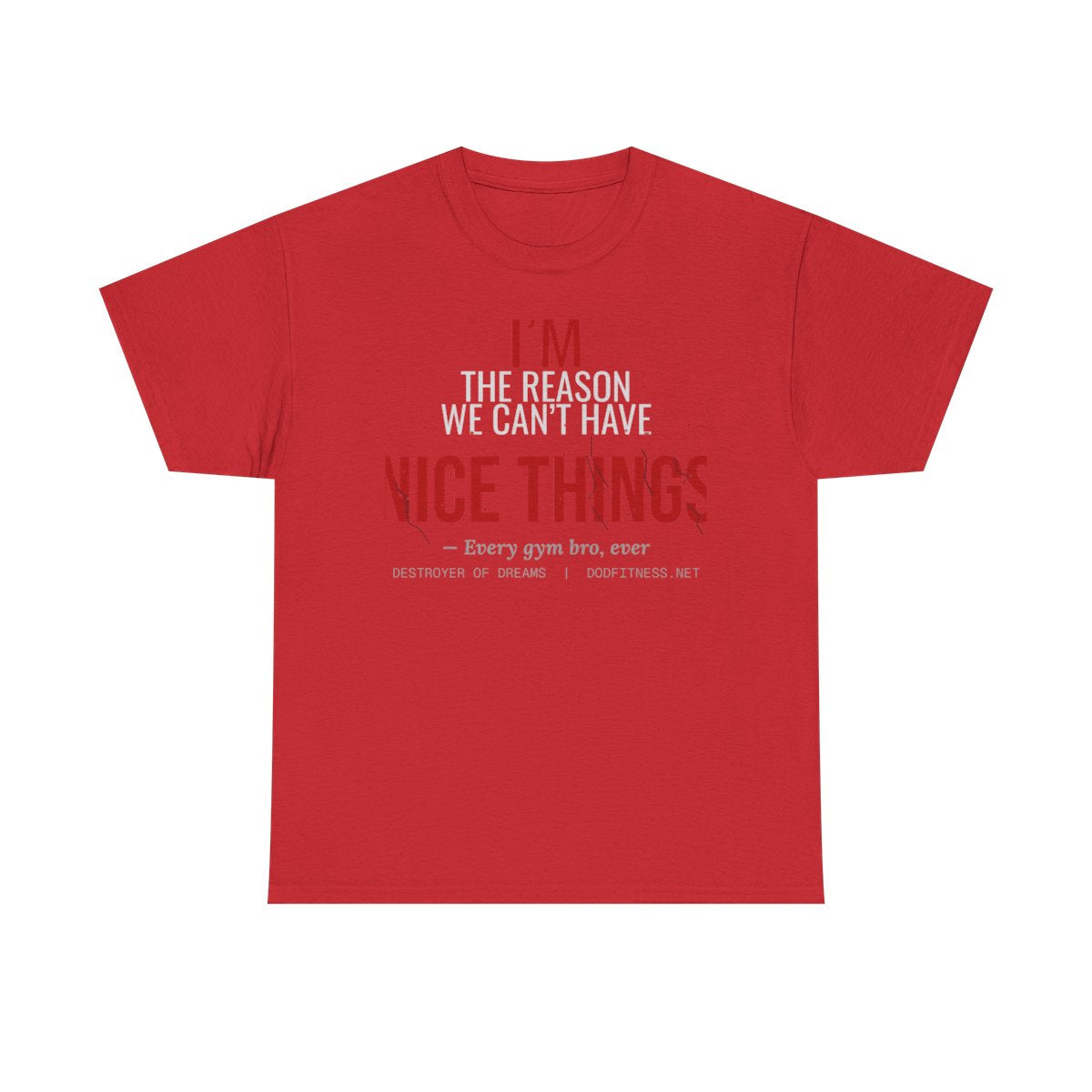 DoD Fitness - Nice Things Women's Tee