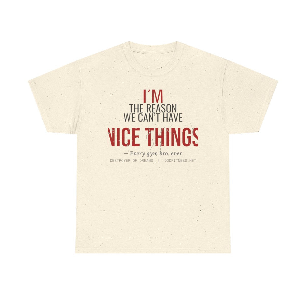 DoD Fitness - Nice Things Women's Tee