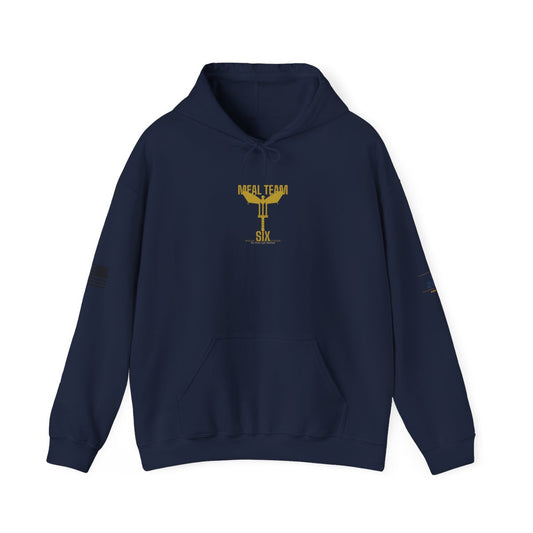 DoD Fitness - Meal Team Six Hoodie